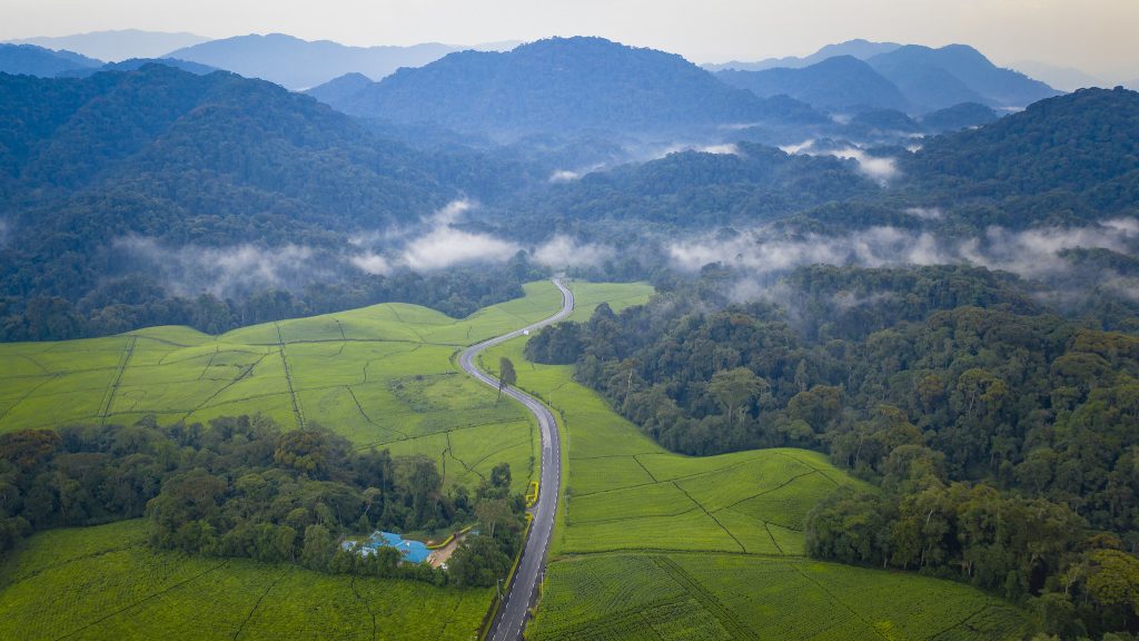 One&Only Nyungwe House