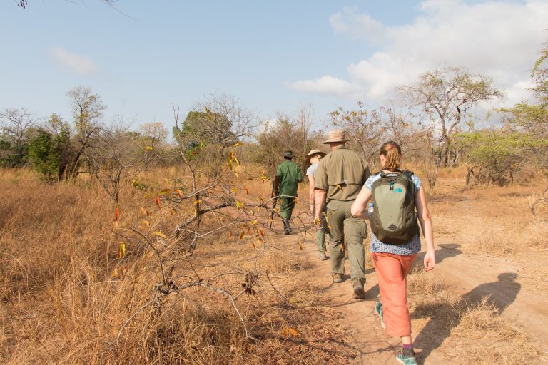 5 Days Luxury Rwanda Big Five Safari & Gorilla Trekking