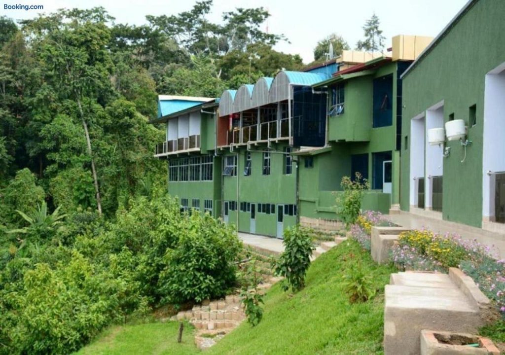 Chimpanzee Lodge, Nyungwe Forest, Rwanda
