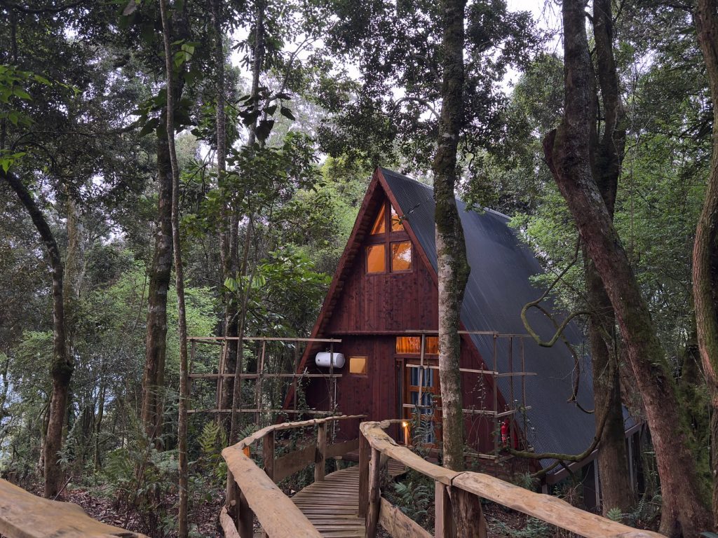 Munazi Eco Lodge, Nyungwe Forest, Rwanda