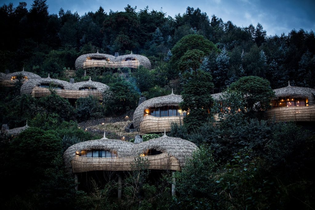 Best Budget Lodges for Gorilla Trekking