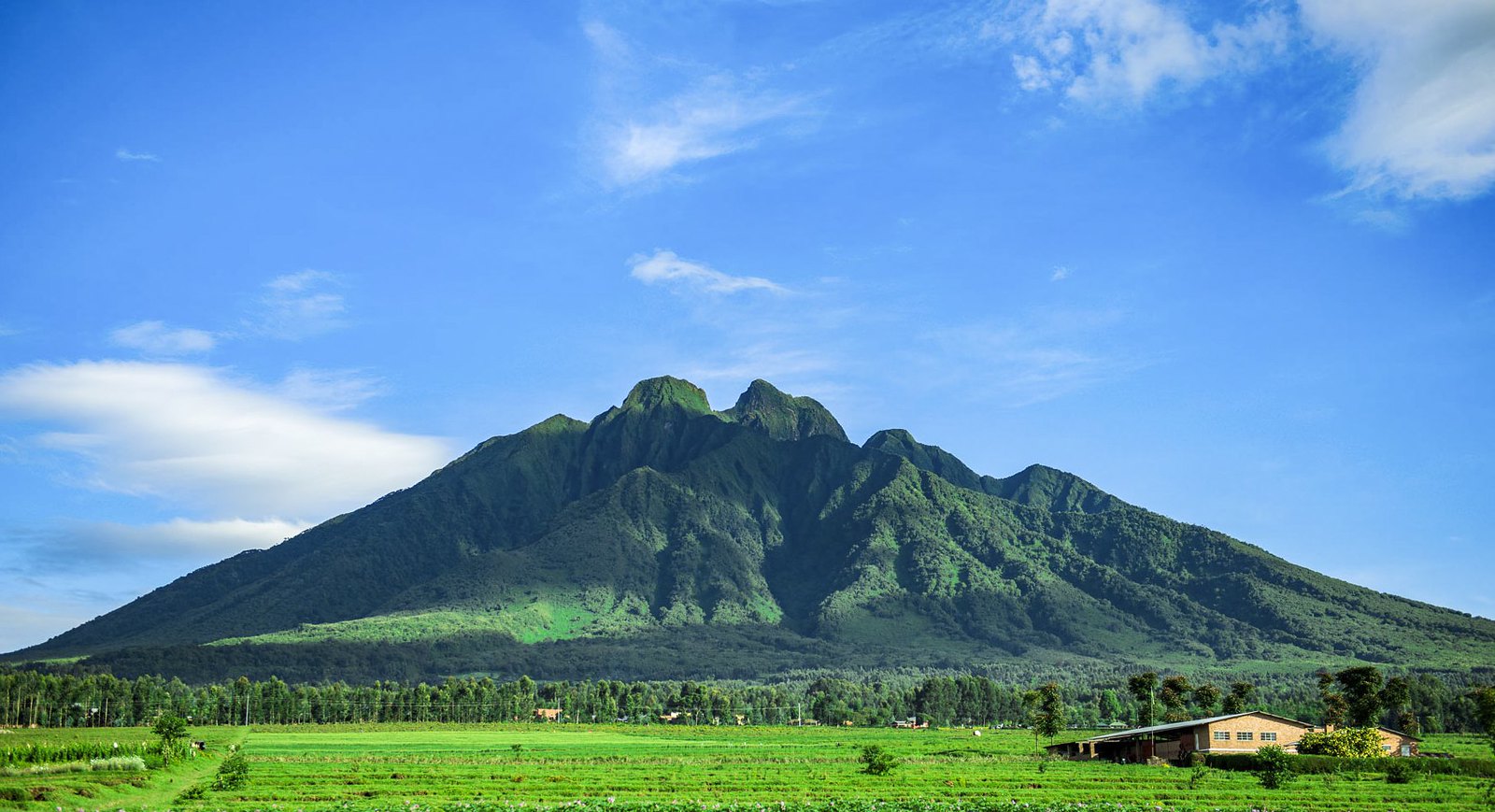 Visiting Volcanoes National Park from Kigali