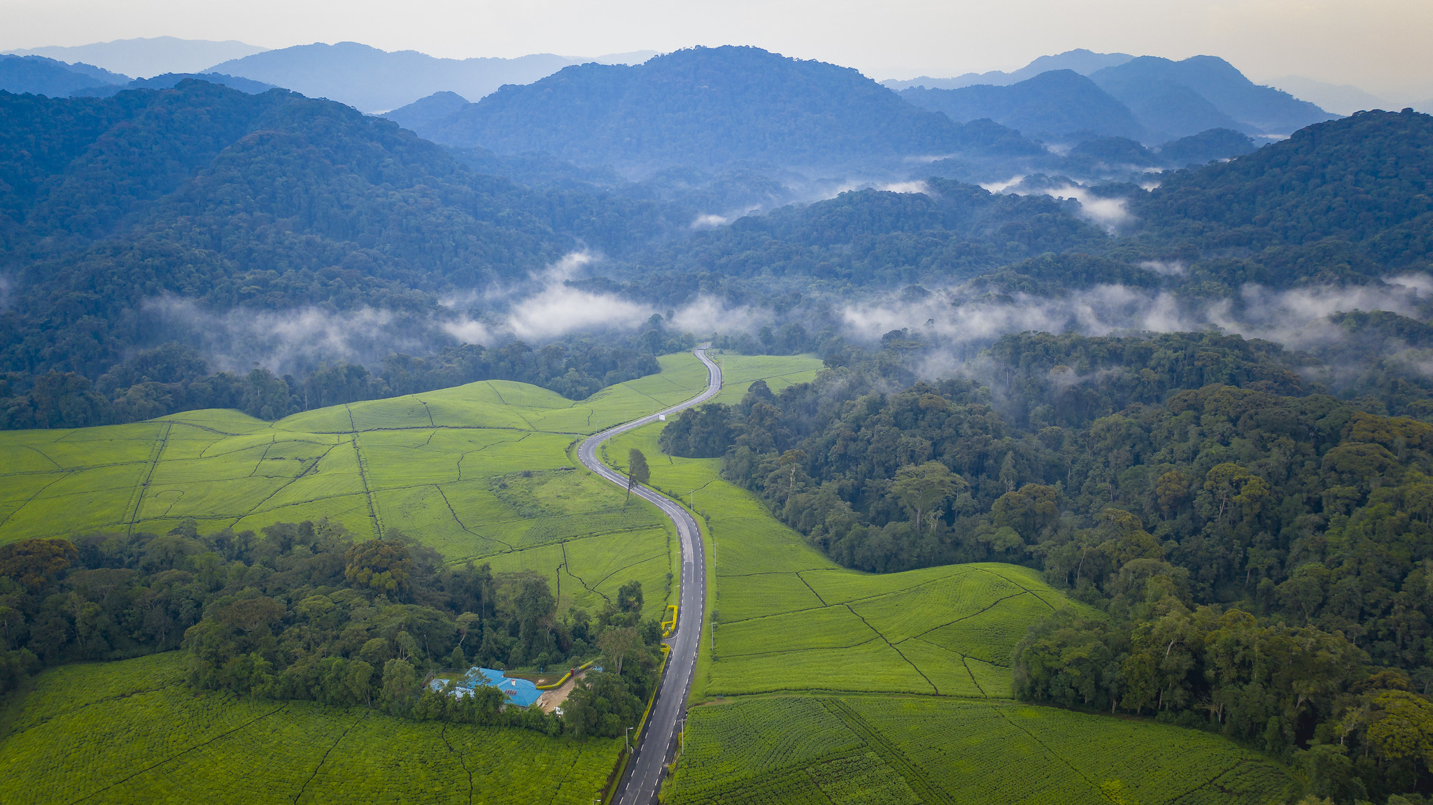 Nyungwe Top View Hill Hotel Rwanda: A Guide to the Hilltop Forest Hotel